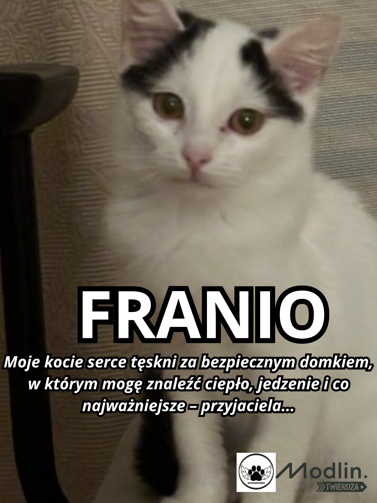 Franek
