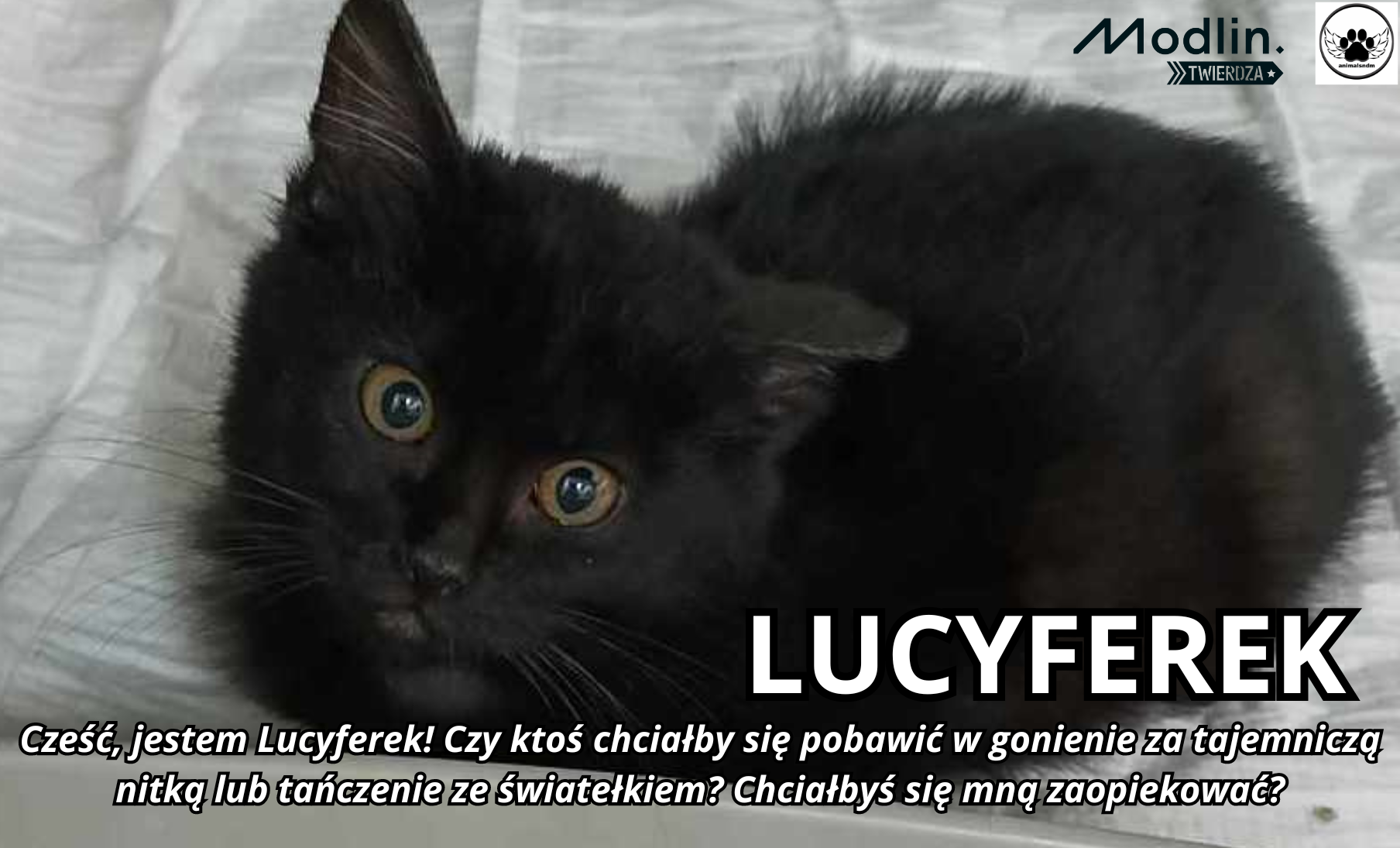 Lucyferek